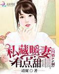 闪婚AA制：私藏暖妻有点甜